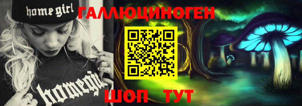 Псилоцибиновые грибы Cubensis  закладка  Вход с VPN  Новороссийск  Галлюциногенные грибы прущие грибы 